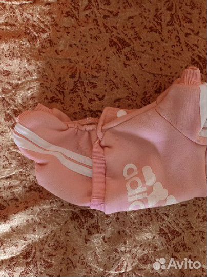 Толстовка для собак мелких пород