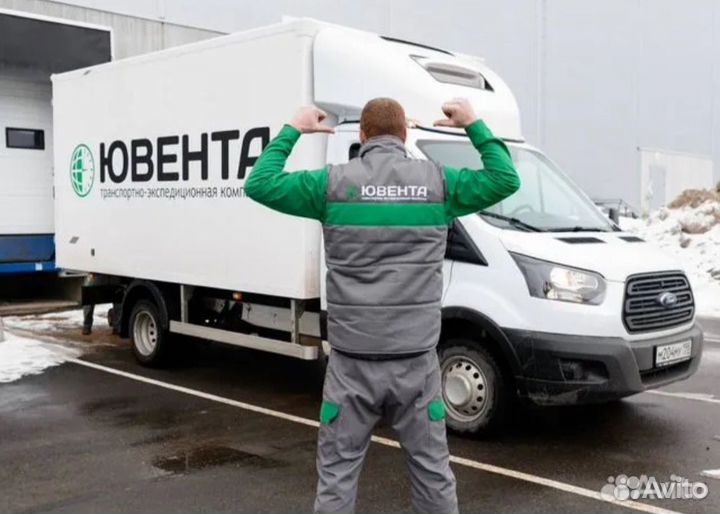 Водитель-экспедитор (Домодедово)