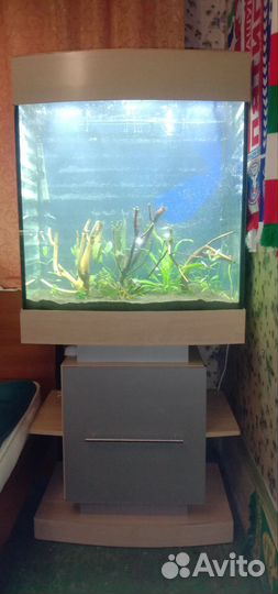 Аквариум с тумбой 270 литров