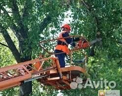 Спил кронирование спиливание