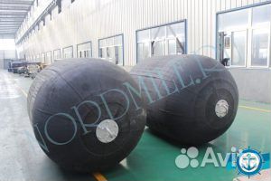 Пневмокранец морской