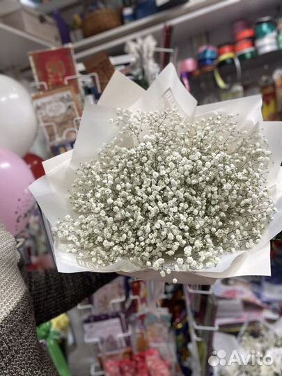 Цветы гипсофила