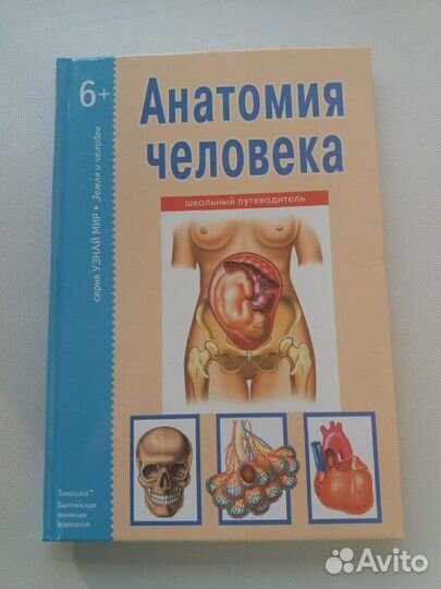 Анатомия человека