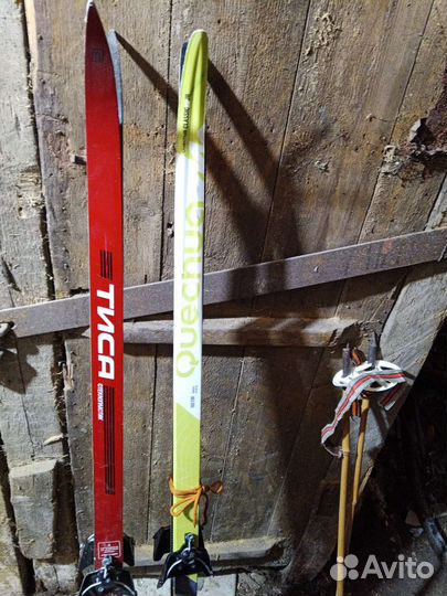 Беговые лыжи