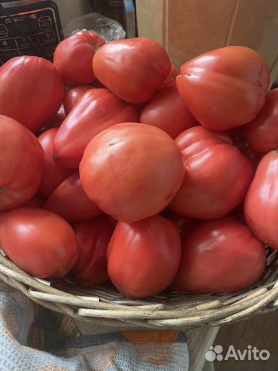 Помидоры красные и зеленые