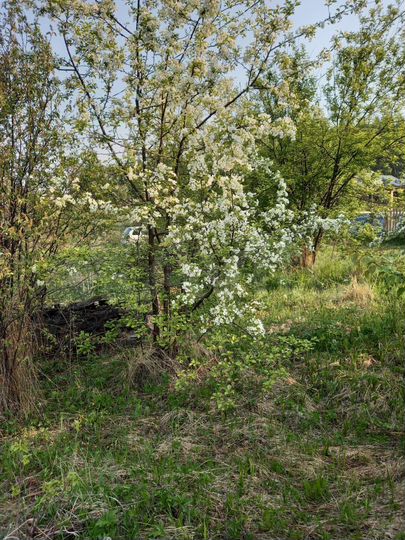 Дача 20 м² на участке 6 сот.