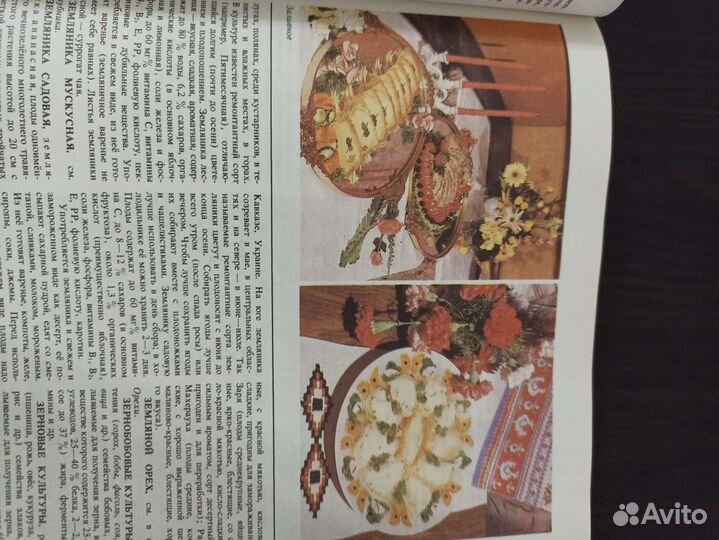 Энциклопедия. Справочник. Еда. Питание