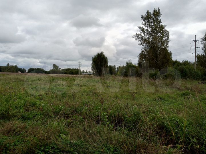 Участок 6 сот. (СНТ, ДНП)