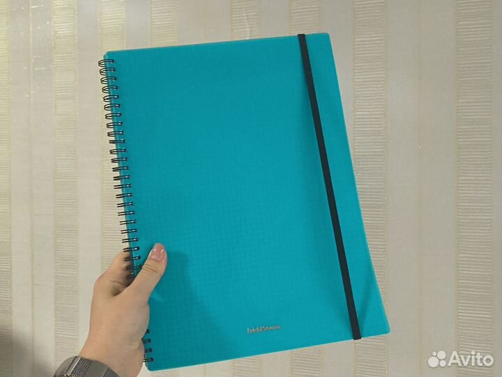 Тетрадь на кольцах a4 Erich Krause