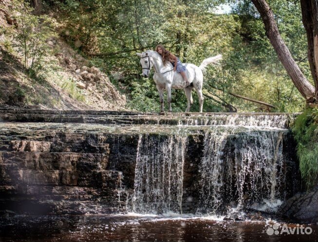 Конные прогулки в Адлере + трансфер