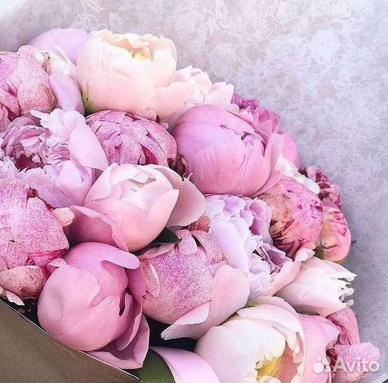 Пионы Розы Доставка