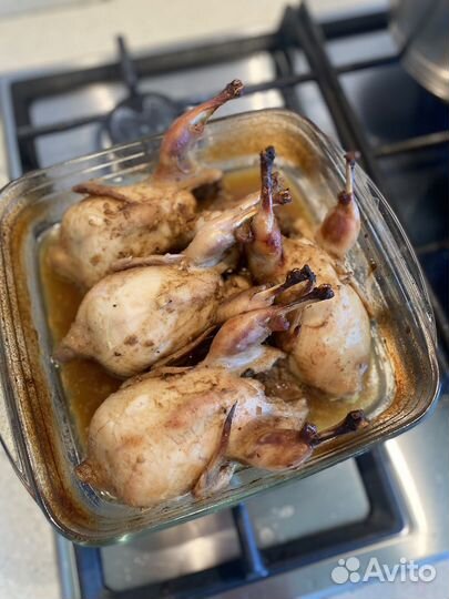 Мясо перепелов Техасский гигант