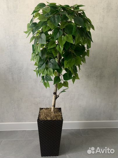 Искусственные цветы, деревья