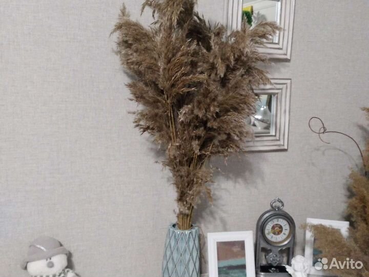 Сухоцветы, трава для декора
