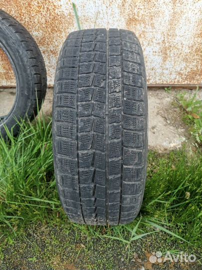 Dunlop Winter Maxx 205/50 R17 93T