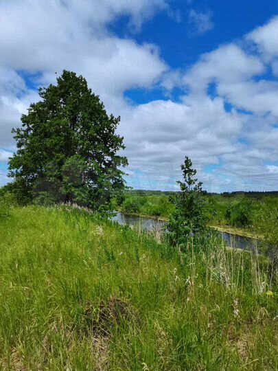 Участок 1,15 га (СНТ, ДНП)