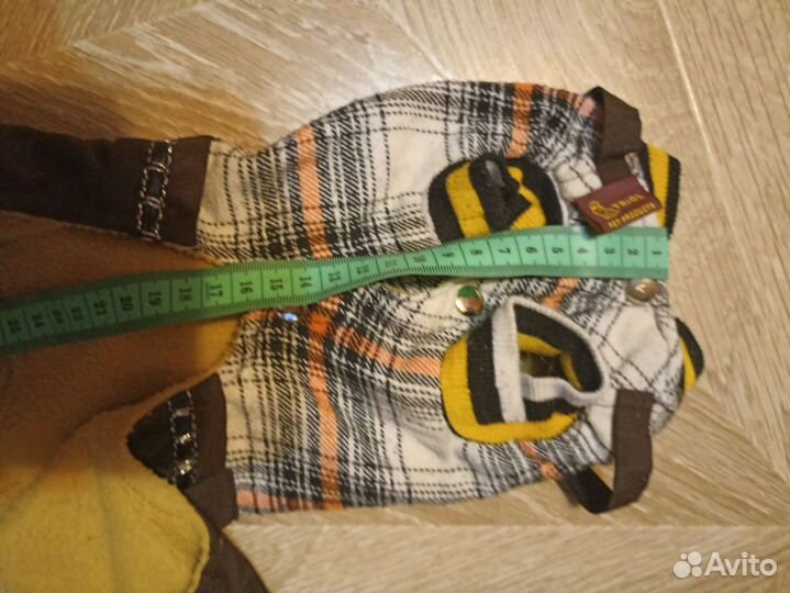 Одежда для собак