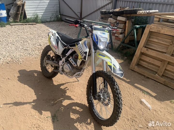 Avantis FX250LUX 2020