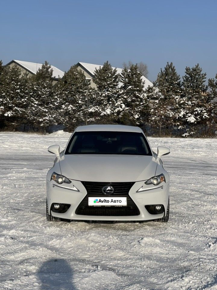 Lexus IS: фото владельца