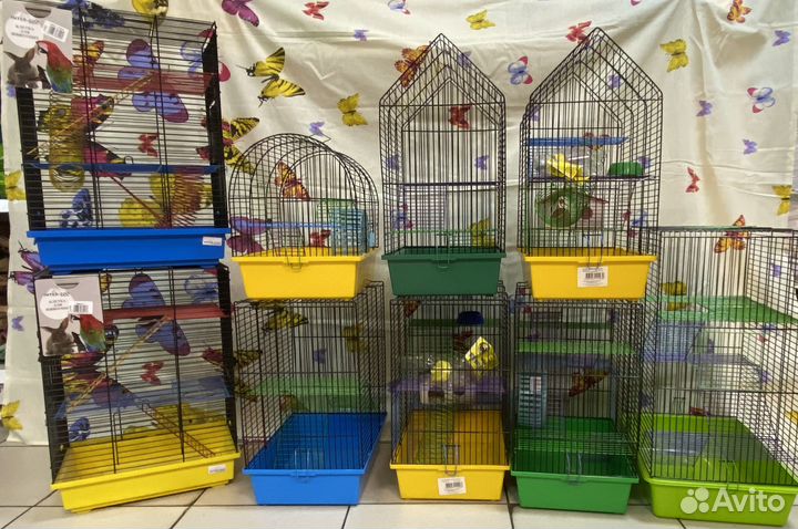 Декоративная крыса