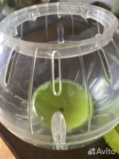 Шар для грызунов