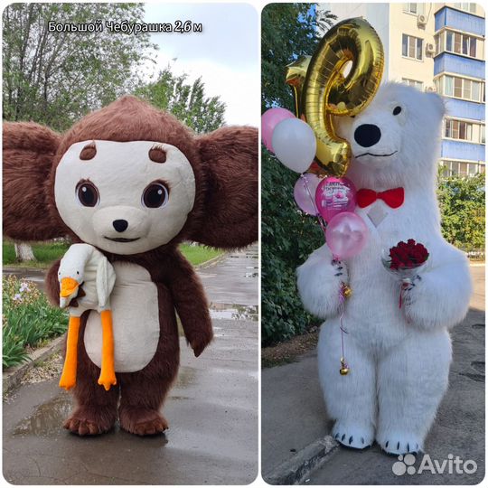 Поздравление от Белого Медведя, Чебурашки и др