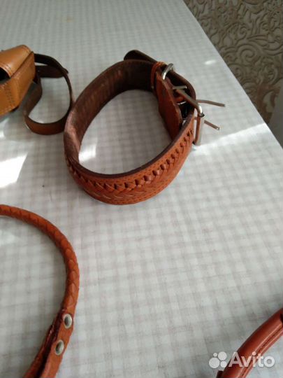 Ошейники и намордники