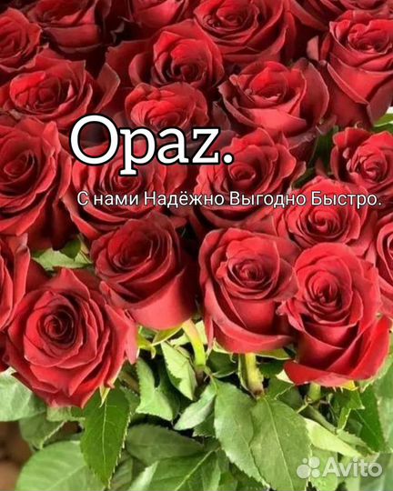 Букет из 35 роз