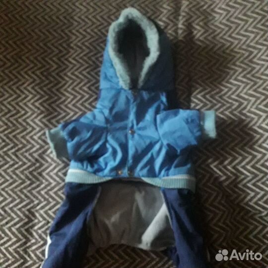 Одежда для маленькой собачки мурино