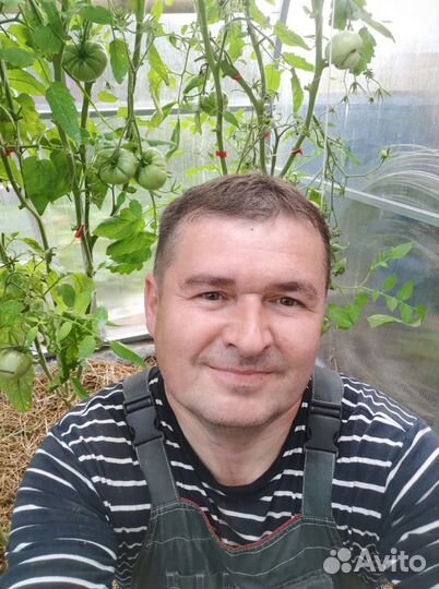 Ремонт посудомоечных машин и стиральных машин