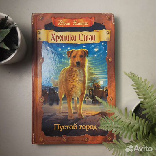 Хроники стаи 