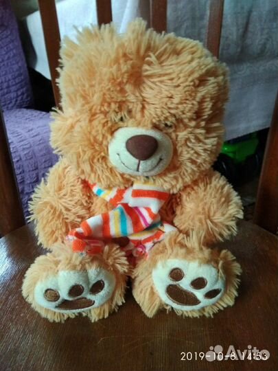 Новые Медведи