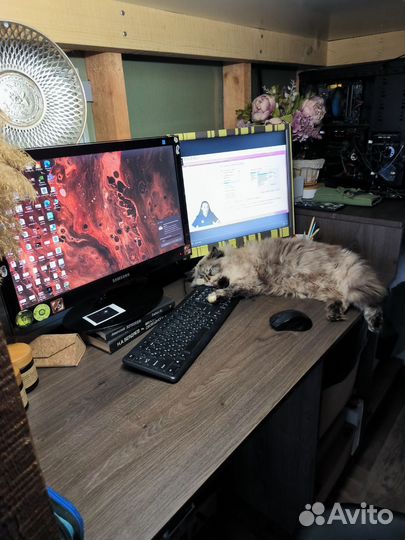Samsung P2250G