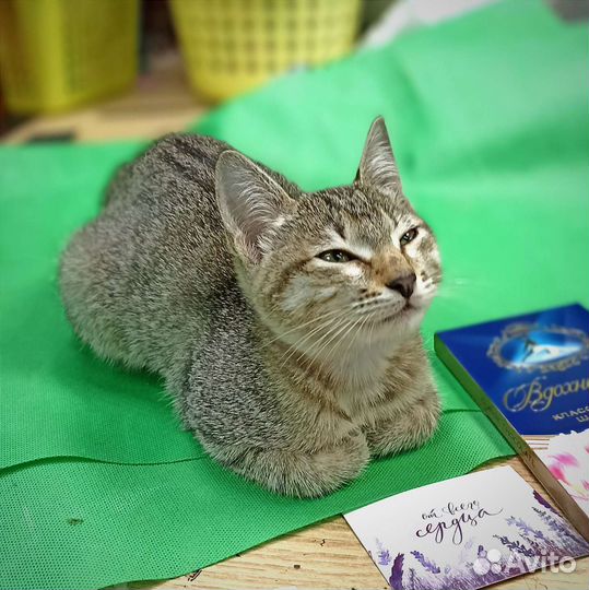 Европейская