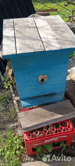 Улей 12 рамок