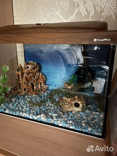 Аквариум с оборудованием