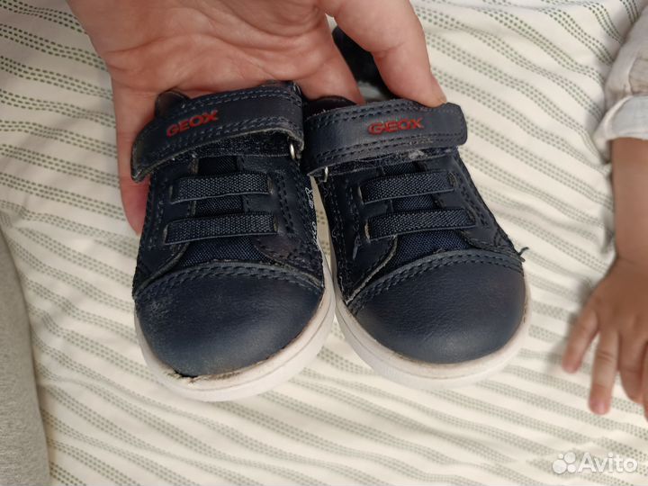 Кеды geox 22