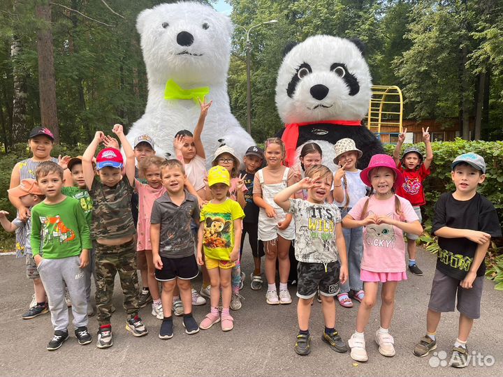 Белый медведь и панда