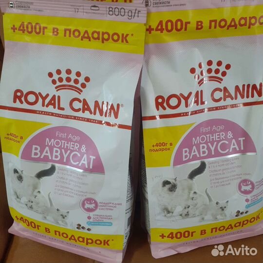 Сухой корм для кошек и котят Royal Kanin
