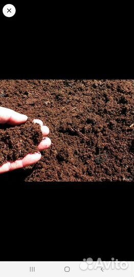 Навоз перегной