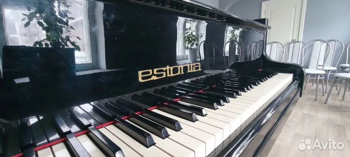 Два Рояля нн Музыкальная студия, репетиторий