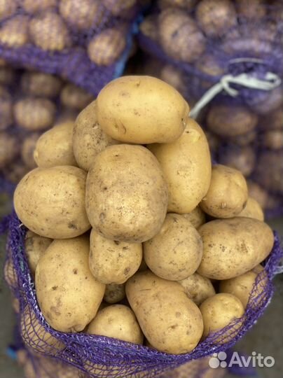 Картофель белый с доставкой