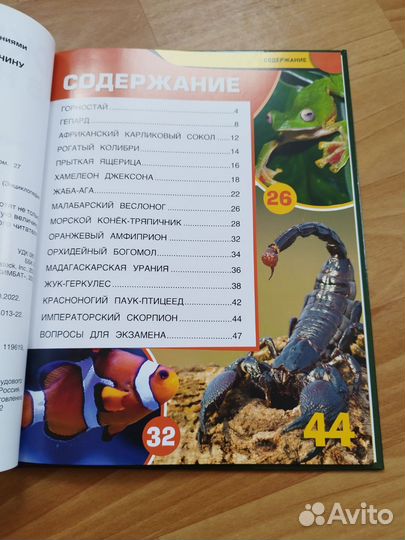 Детская энциклопедия. Животные в натуральную вели