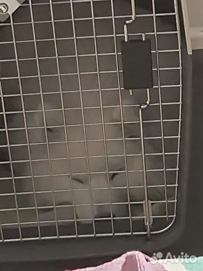 Переноска для большой собаки