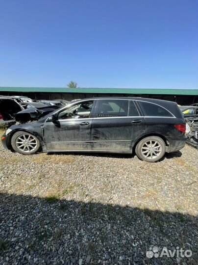 W 251 R класс разбор