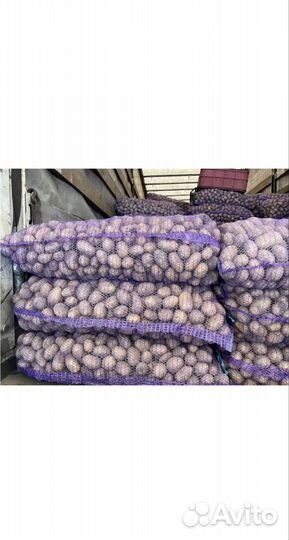 Картофель от производитель оптом И В розницу