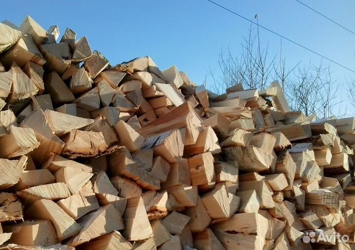 Дрова береза