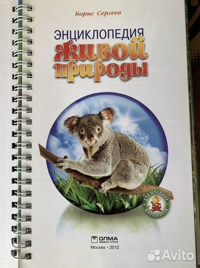 Энциклопедия для детей