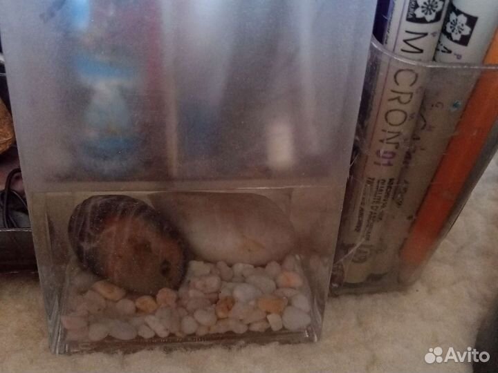 Набор канцелярии и фломастеры маркеры