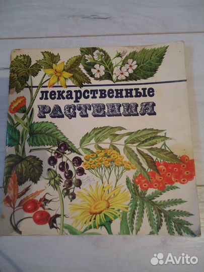 Брошюра лекарственные растения Мелик-Гусейнов